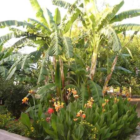 Casa Alba Сasa de vacaciones Maruggio